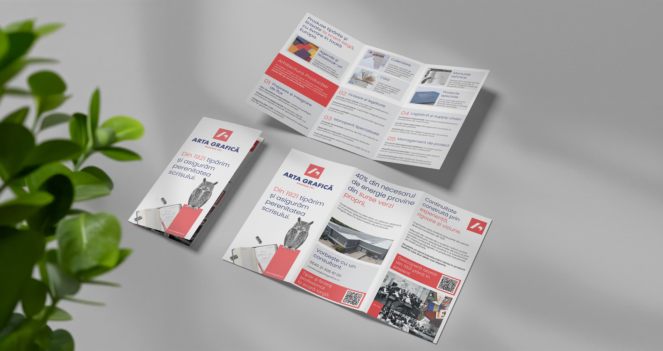 3.-design-brosura-trifold-ARTA-GRAFICA