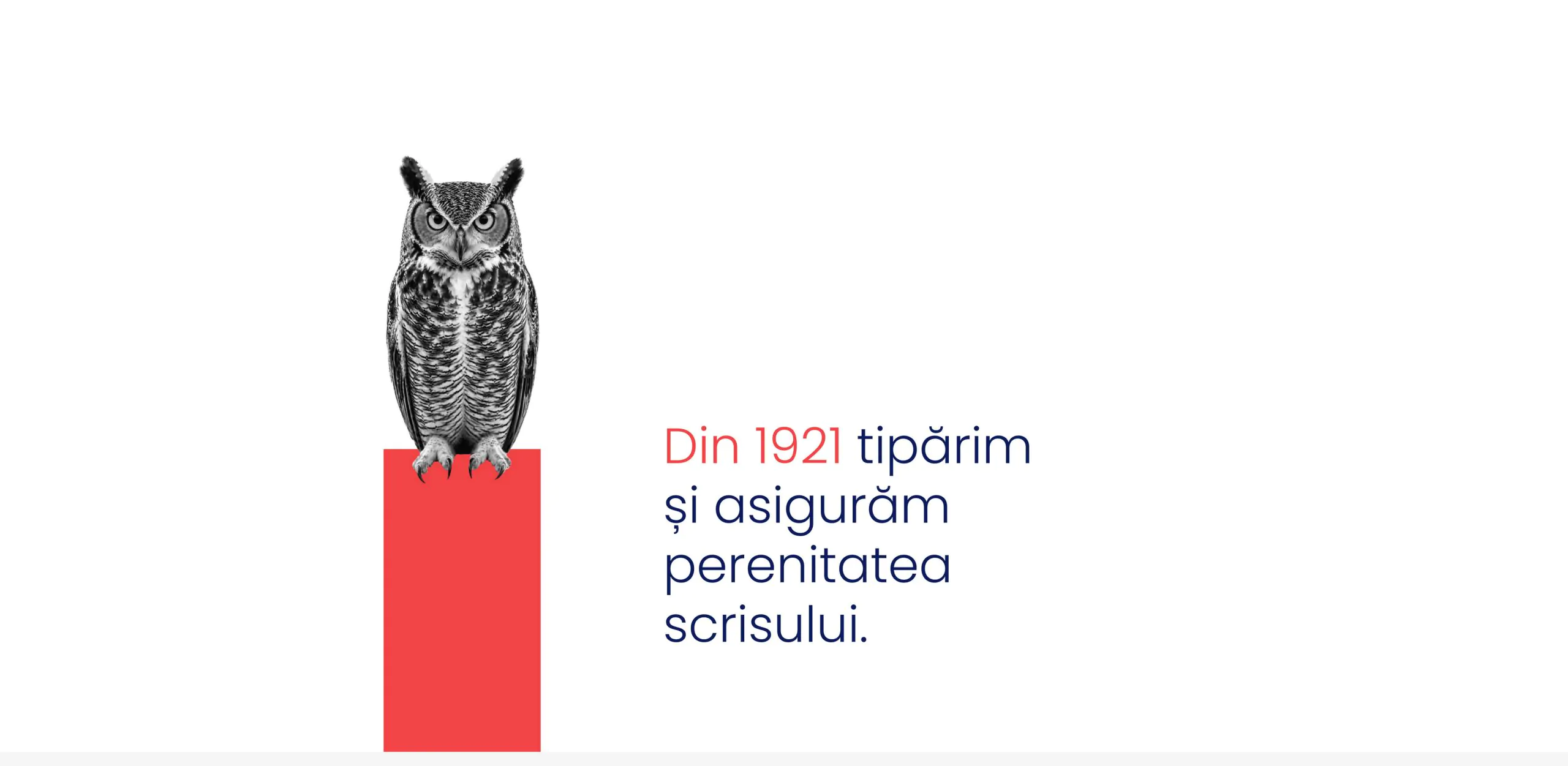 audit-de-brand-si-rebranding-pentru-Imprimeria-arta-grafica